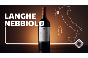 Langhe Nebbiolo: De jongere broer van Barolo