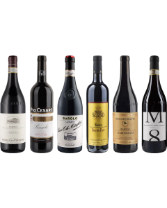 Barolo Premium Proefkoffer