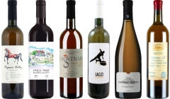 Georgische Sinaasappel Amber Wijn Premium Proefkoffer