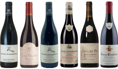 Gevrey Chambertin Proefkoffer