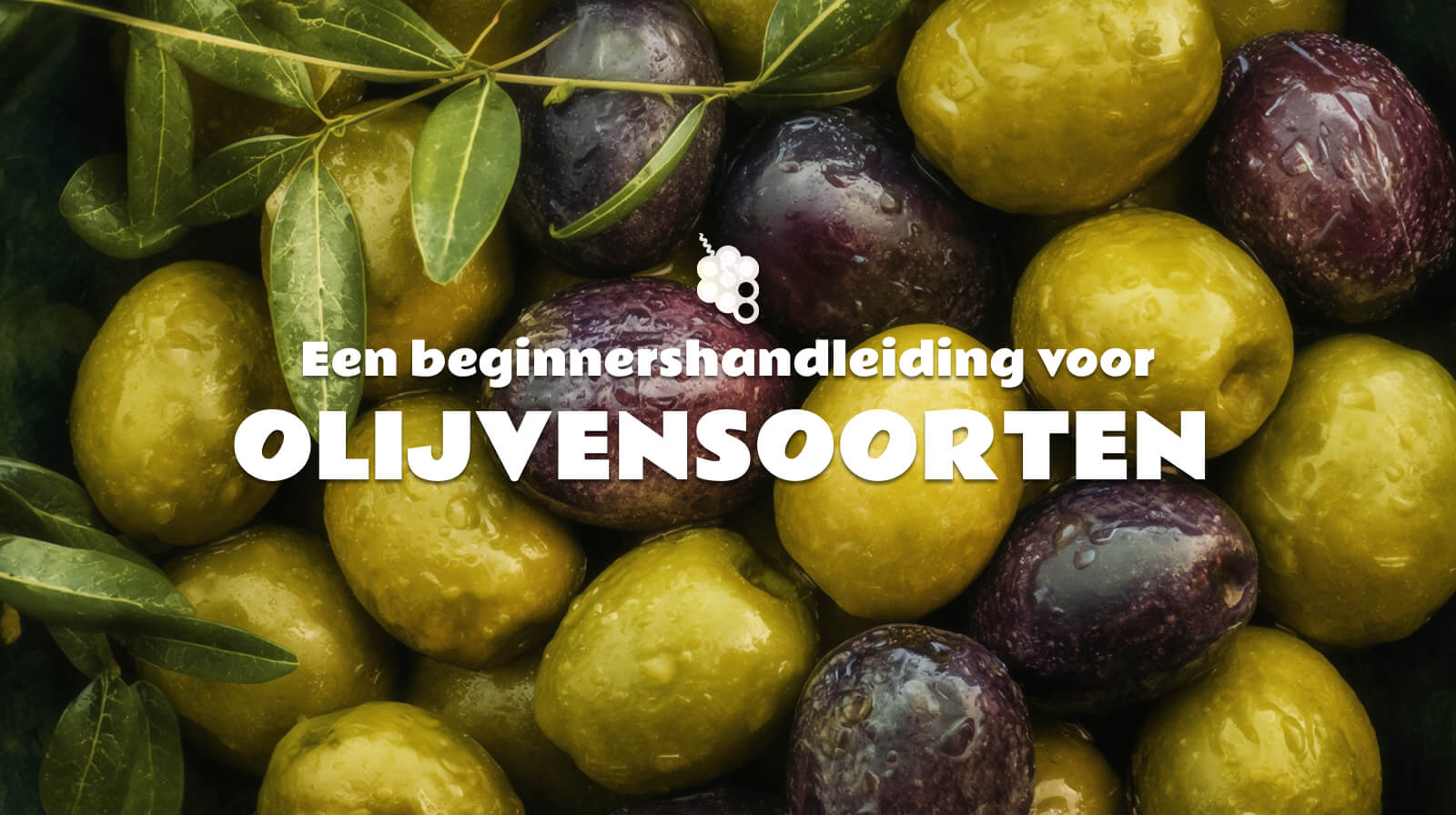 Een beginnershandleiding voor olijvensoorten: Hoe smaakt elke variëteit en hoe kies je ze