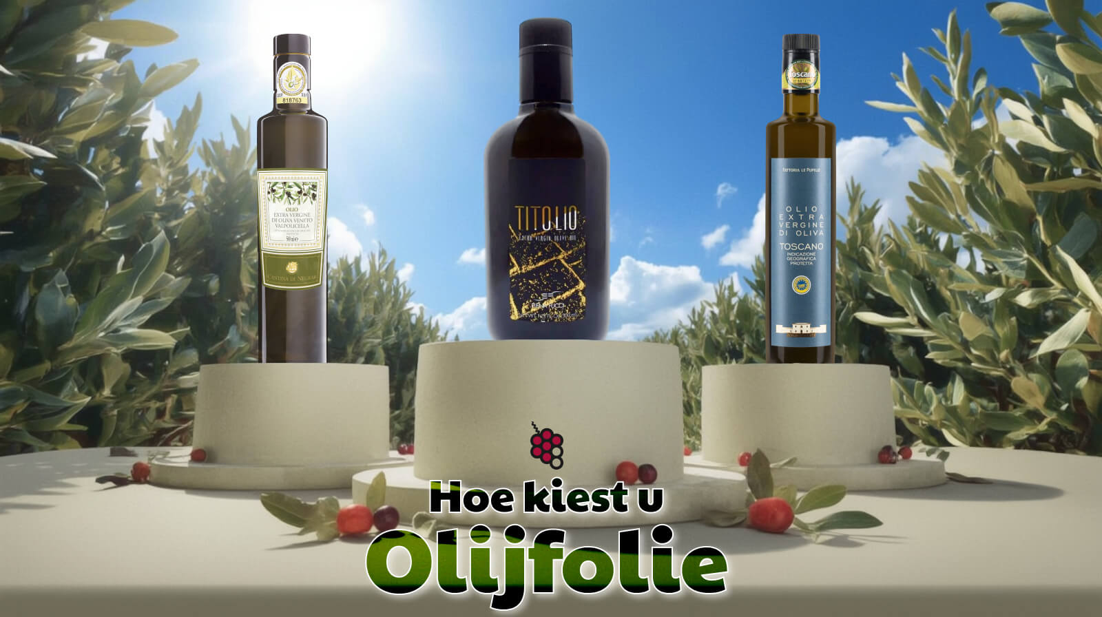 Hoe kiest u olijfolie