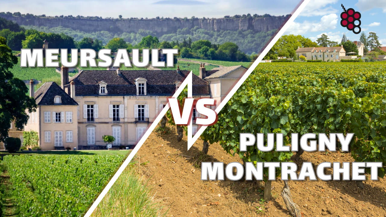 De belangrijke rol van terroir: Meursault vs Puligny Montrachet en wat deze wijnen zo uniek maakt
